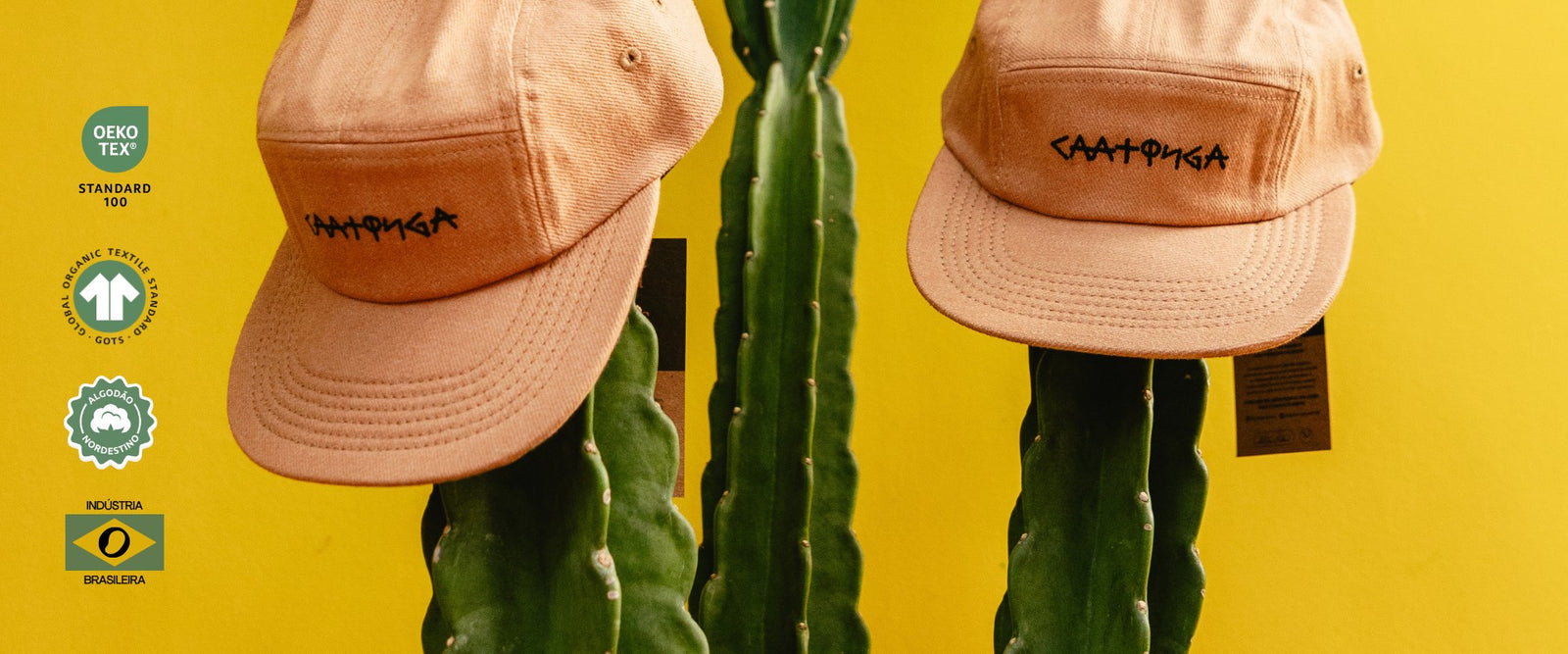Favoritos